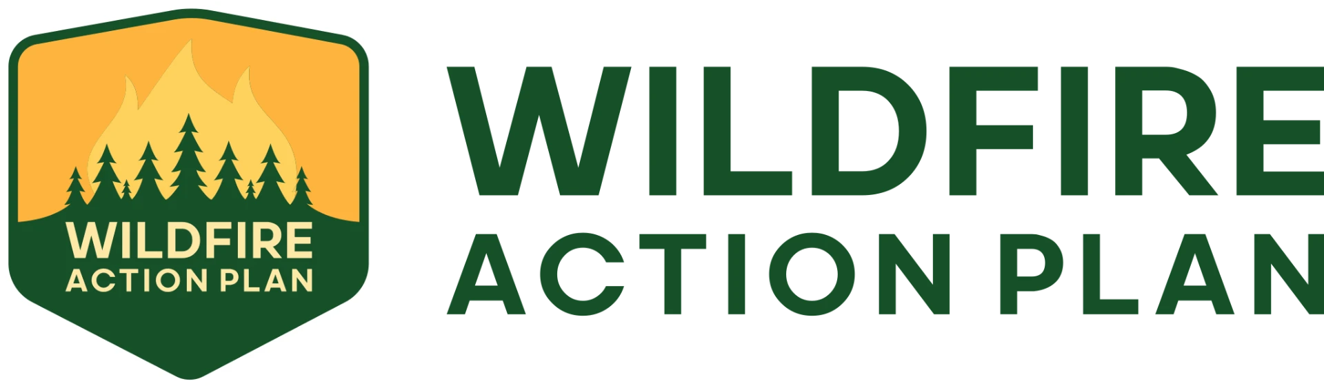 Wildfire Action Plan